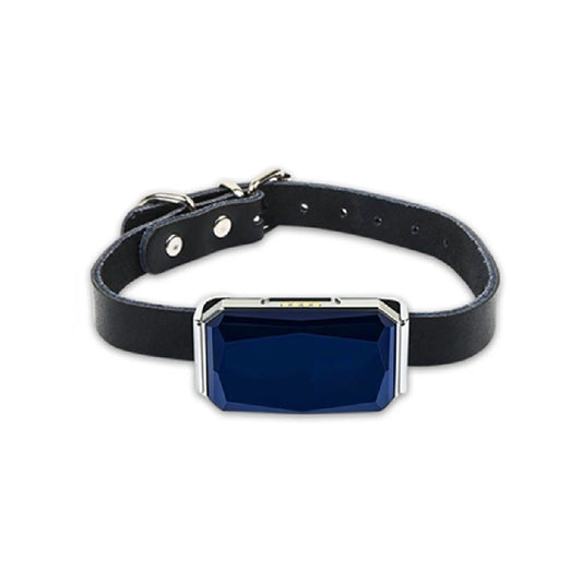 G12 Collar Pet Tracking Locator Wearable Smart GPS Dog Collar