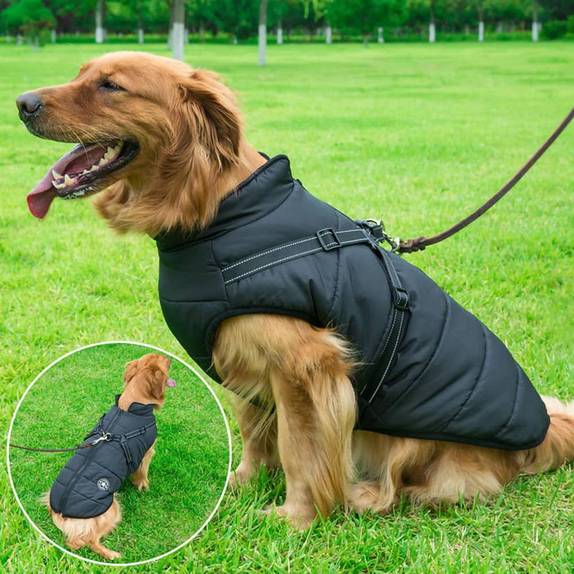CuteTailStory® Dog Winter Jacket With Harness