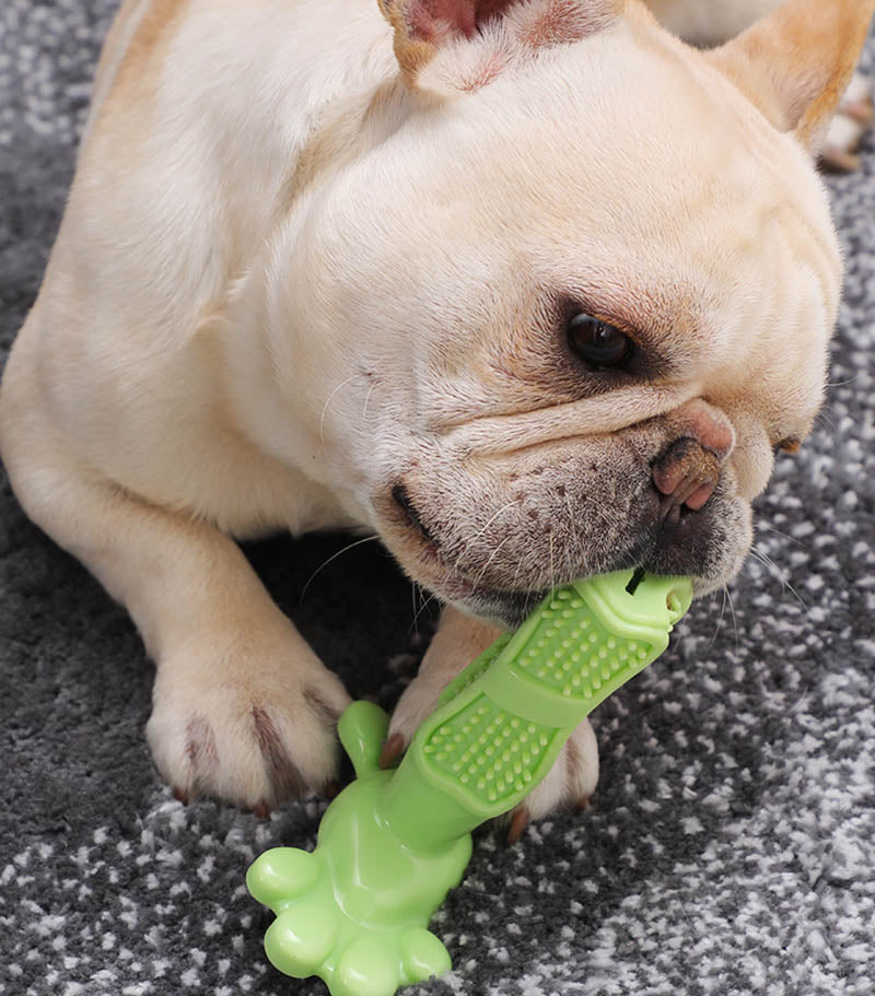 CuteTailStory® Toothbrush Toy