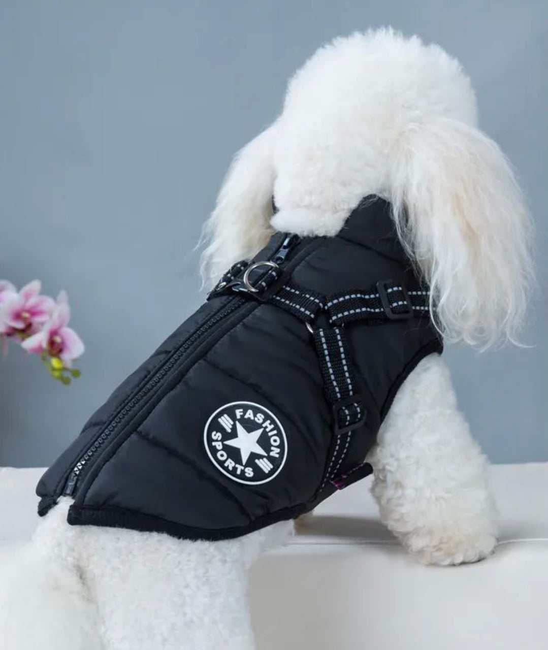 CuteTailStory® Dog Winter Jacket With Harness