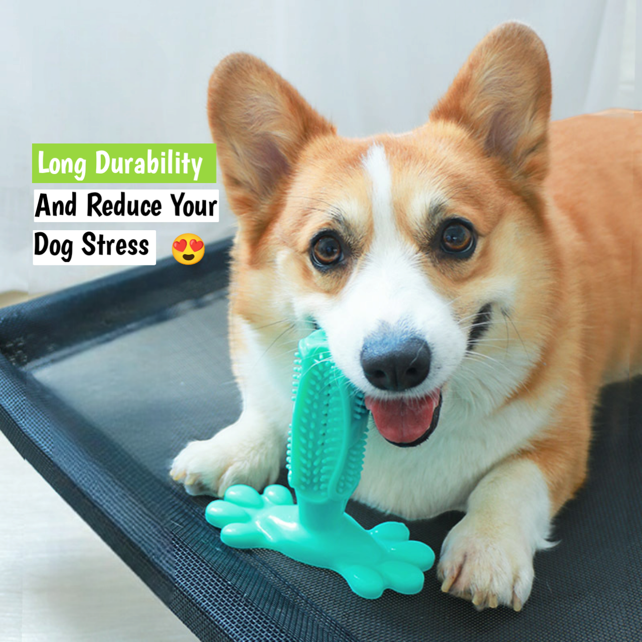 CuteTailStory® Toothbrush Toy