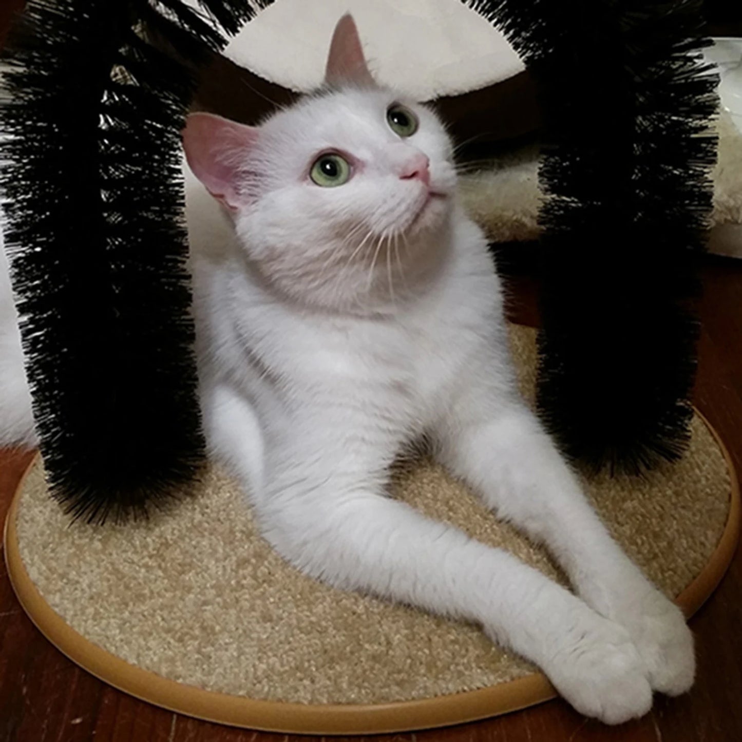 Cat Arch Self Groomer Massager
