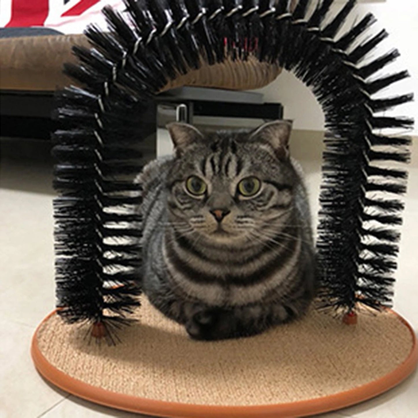 Cat Arch Self Groomer Massager