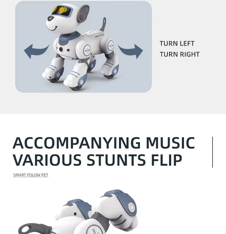 Intelligent Robot Dog