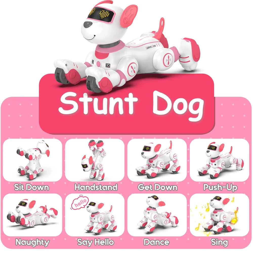 Intelligent Robot Dog