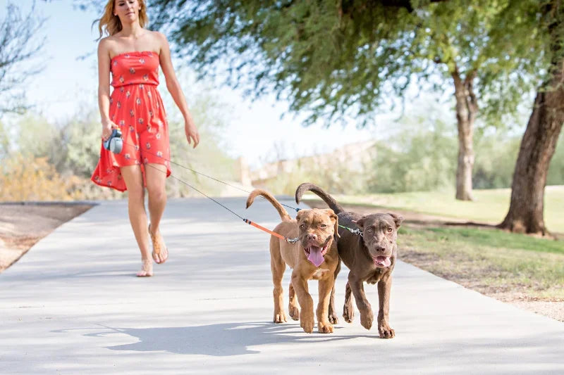 Premium 3M Retractable Double Dog Leash For Small Dogs