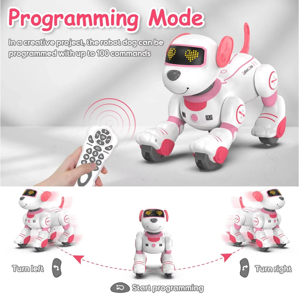 Intelligent Robot Dog
