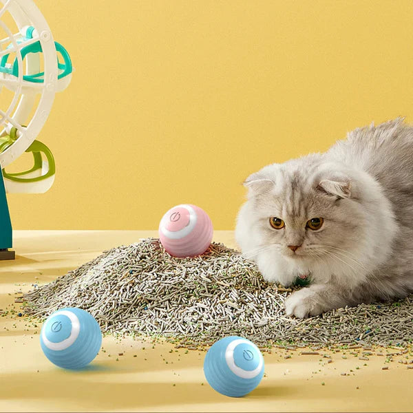Meow Magic Play Ball