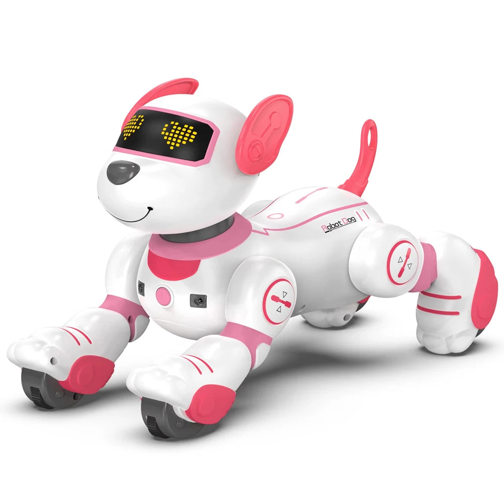 Intelligent Robot Dog