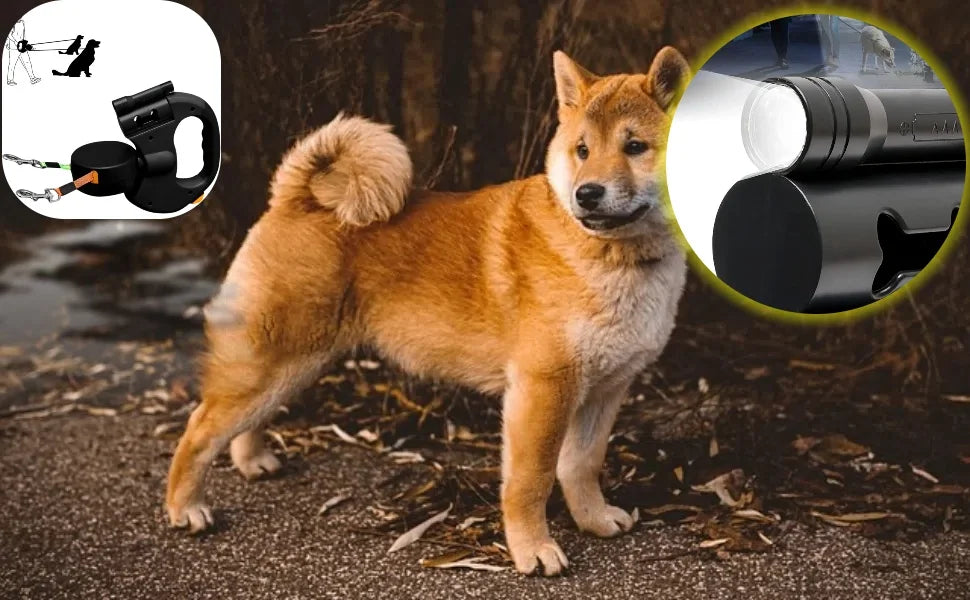 Double Ended Leash,