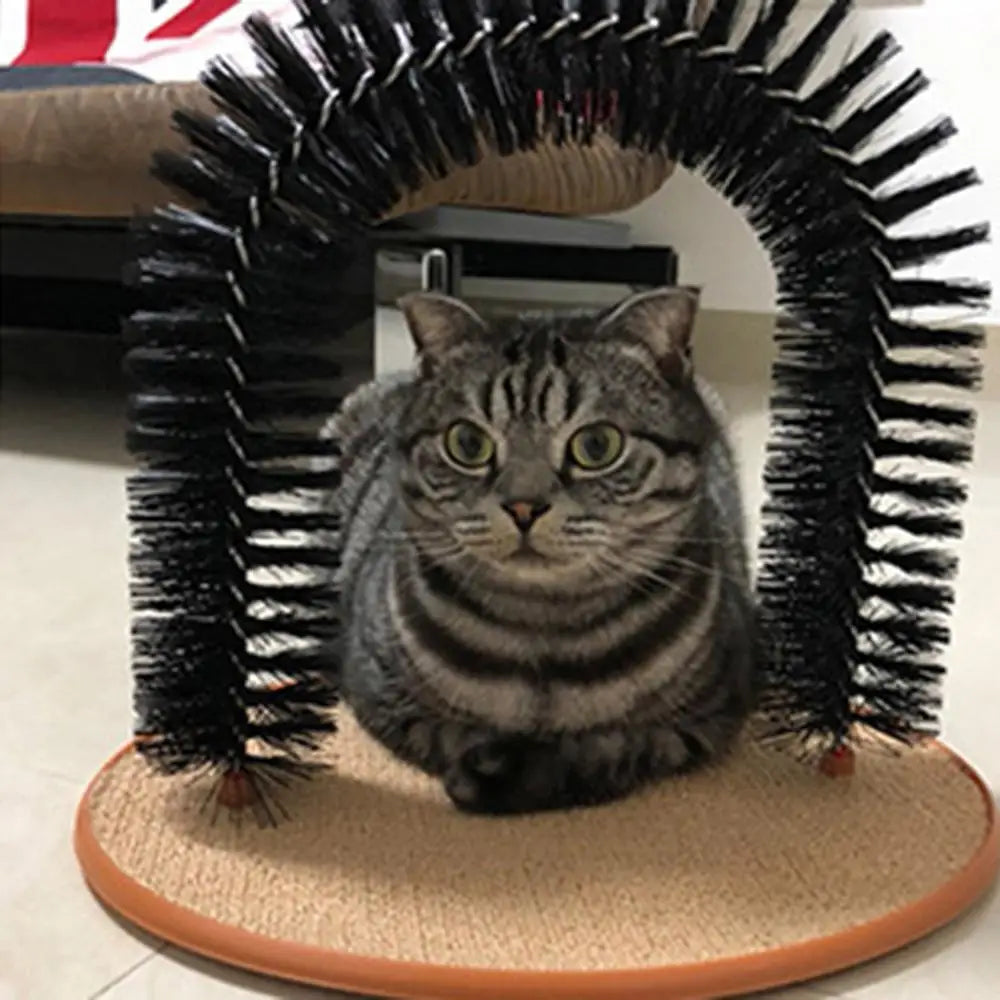 Cat Arch Self Groomer Massager