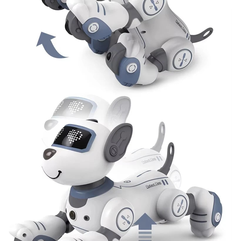 Intelligent Robot Dog