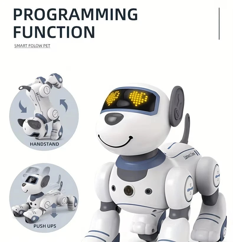 Intelligent Robot Dog
