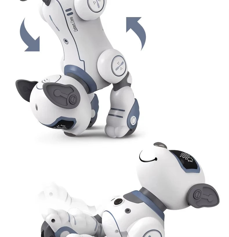 Intelligent Robot Dog