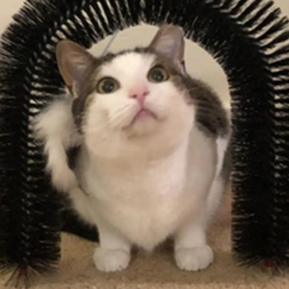 Cat Arch Self Groomer Massager