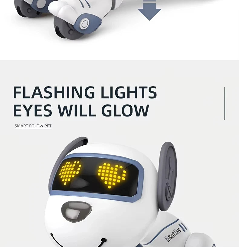 Intelligent Robot Dog