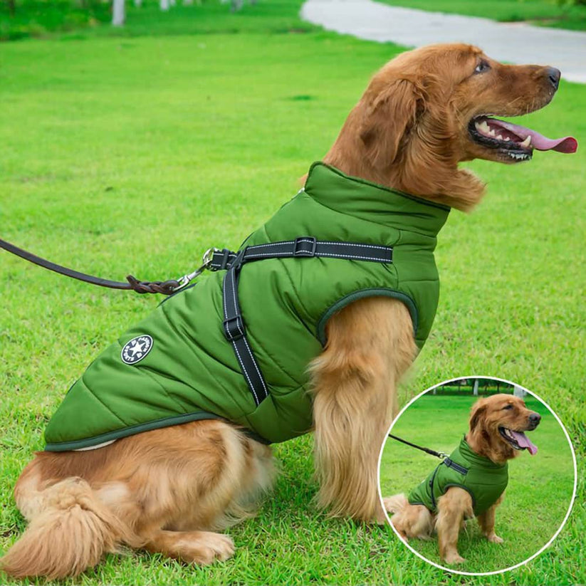 CuteTailStory® Dog Winter Jacket With Harness