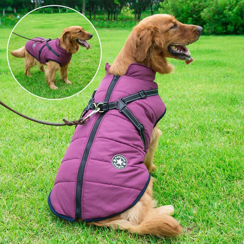CuteTailStory® Dog Winter Jacket With Harness