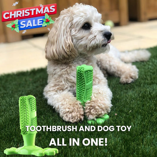 CuteTailStory® Toothbrush Toy