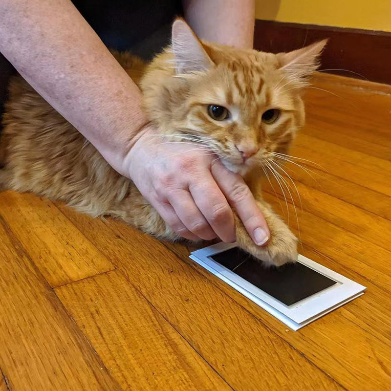 CuteTailStory® Paw Print Stamp Pad