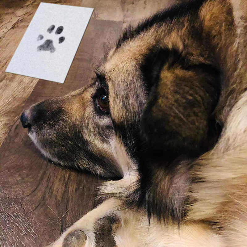 CuteTailStory® Paw Print Stamp Pad