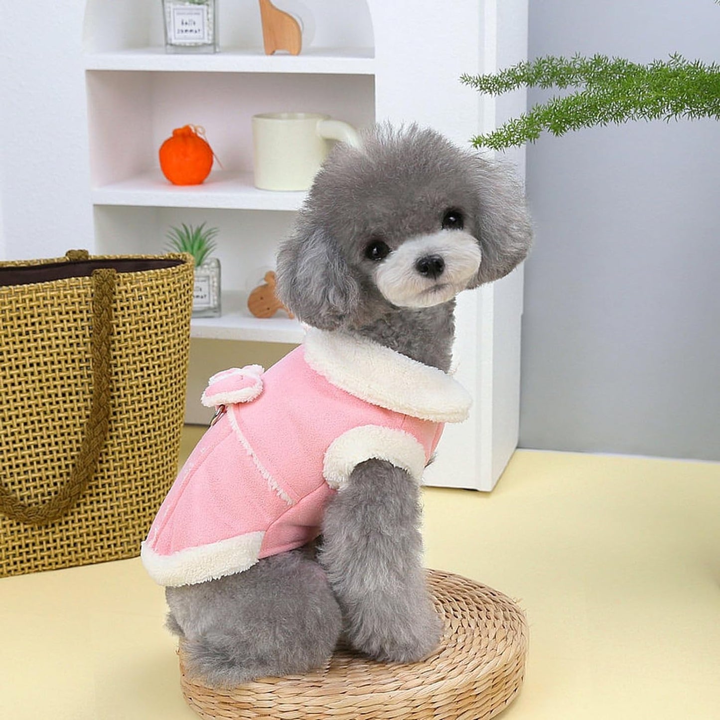 CuteTailStory® Cute Stylish Dog Coat