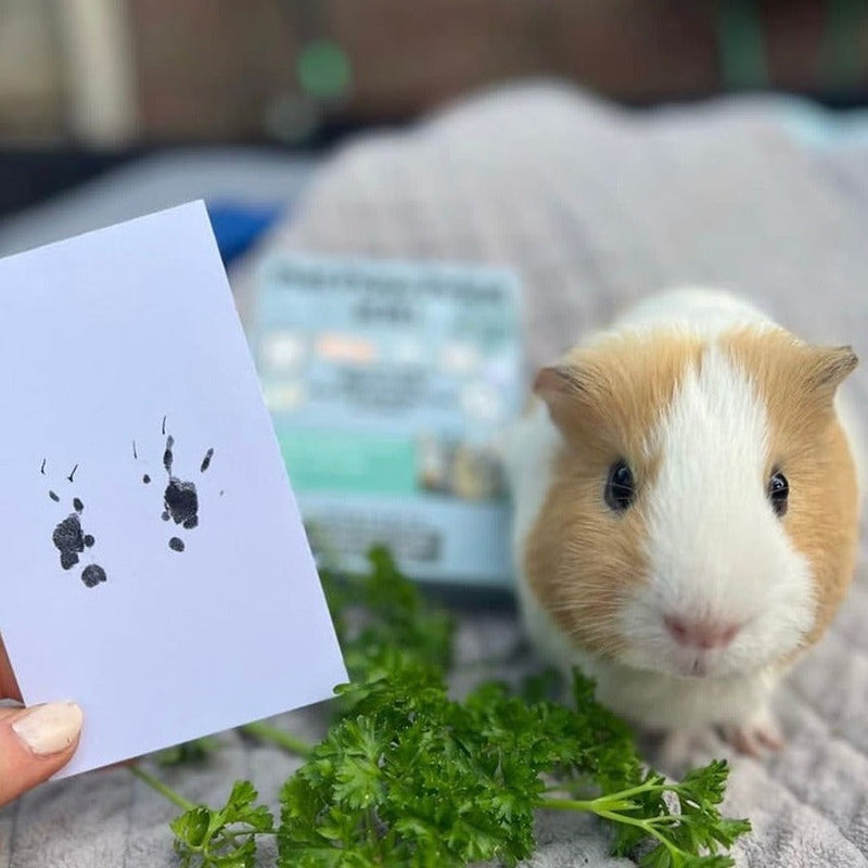 CuteTailStory® Paw Print Stamp Pad