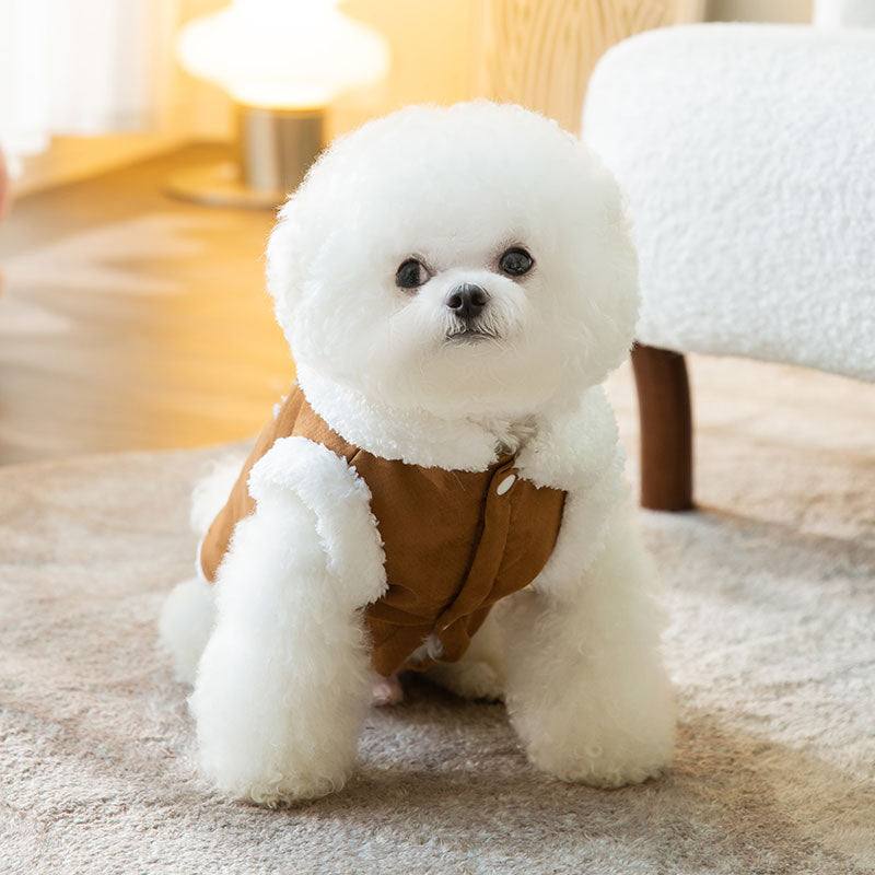 CuteTailStory® Cute Stylish Dog Coat