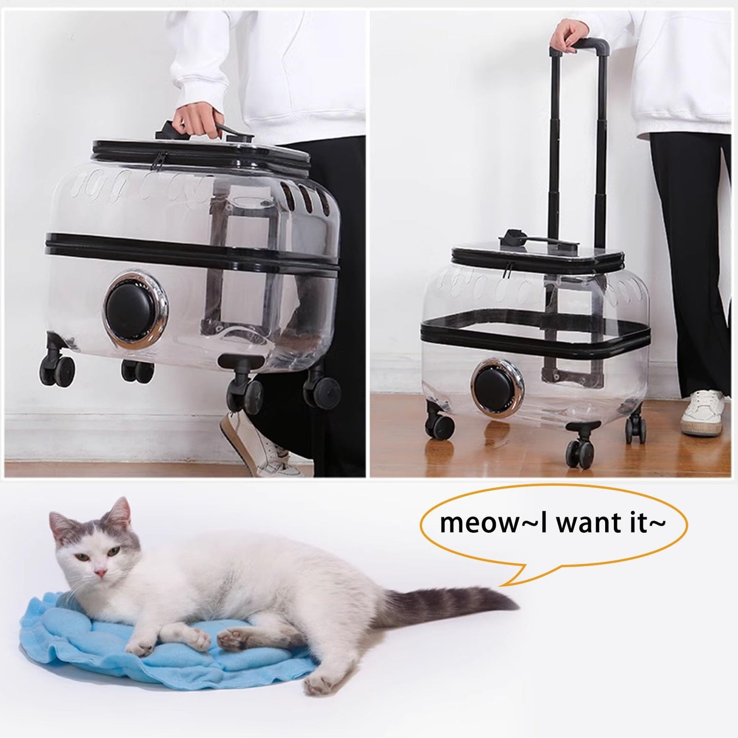 CuteTailStory® Transparent Pet Travel Trolley