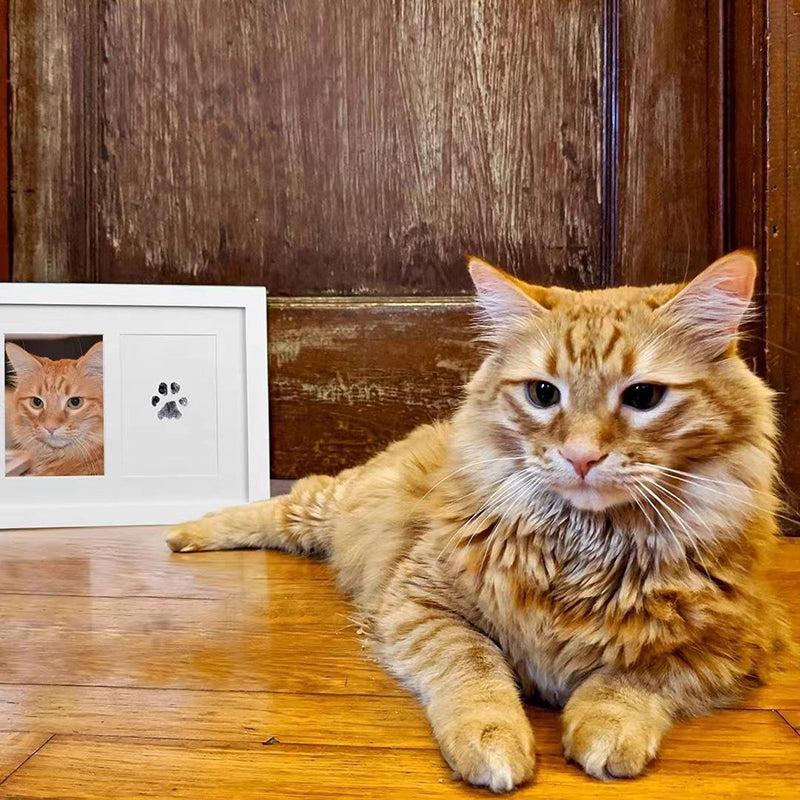 CuteTailStory® Paw Print Stamp Pad