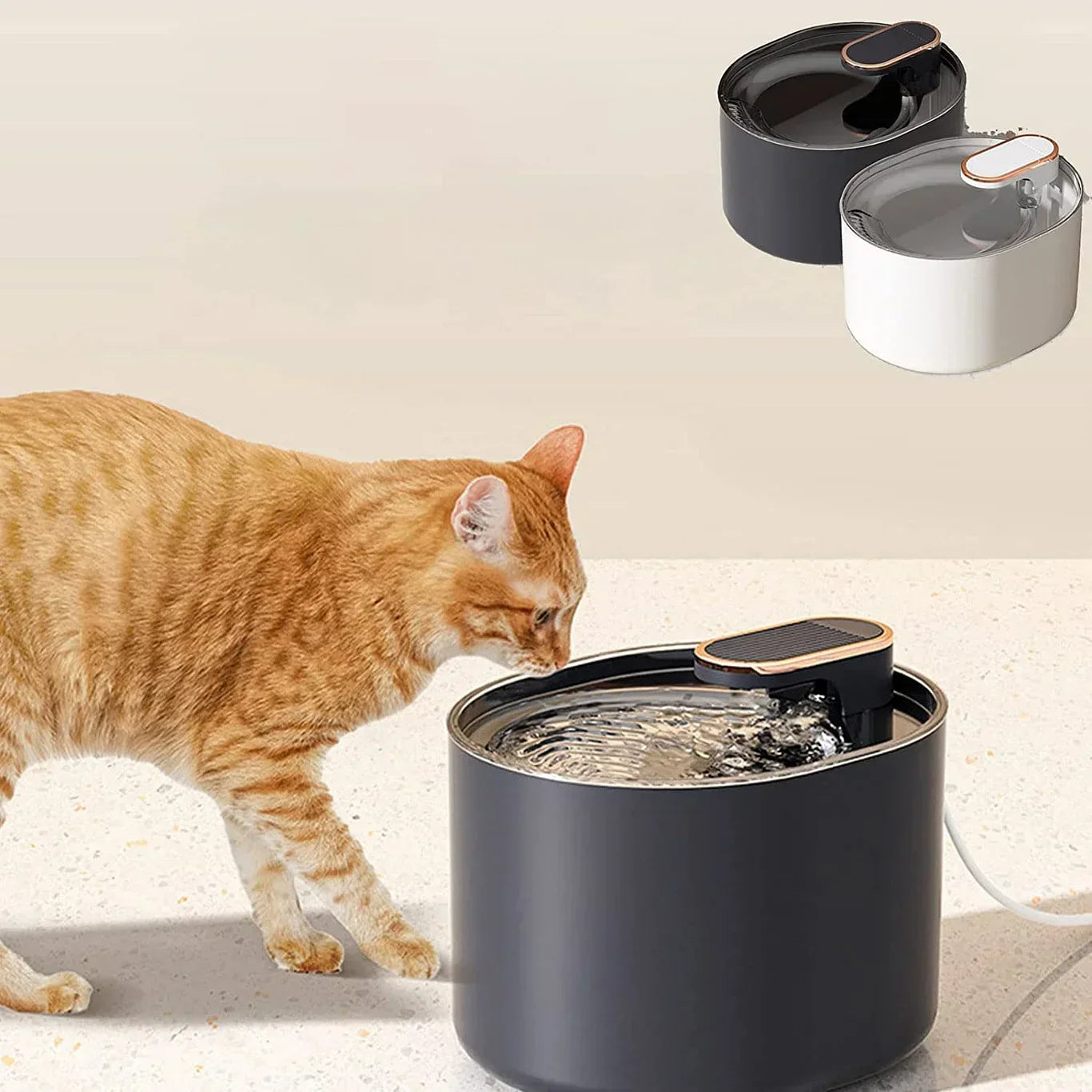 CuteTailStory® Water Fountain